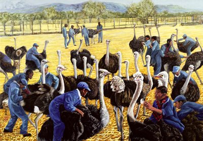 Ostrich Farm by Komi Chen